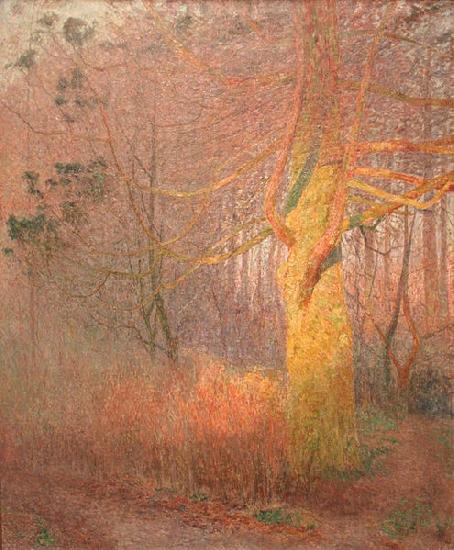 Emile Claus Tree in the Sun France oil painting art